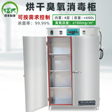 BF-GJ-600烘干臭氧消毒柜